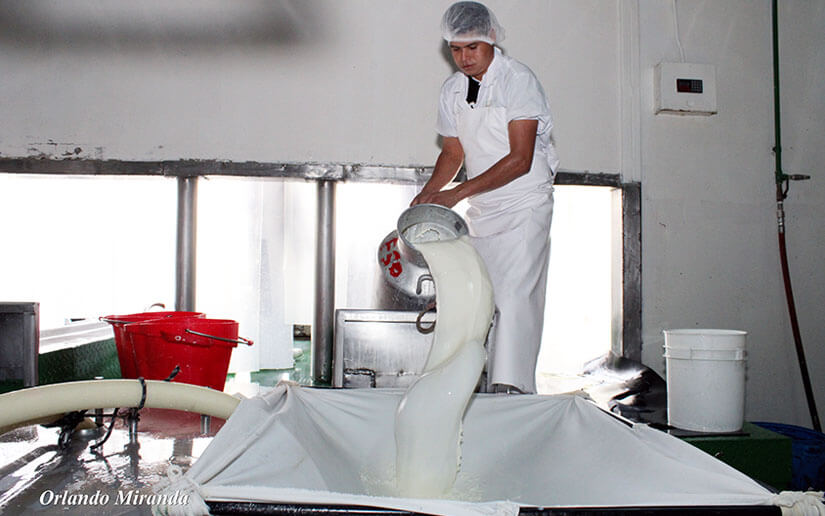 estrategia-produccion-lactea